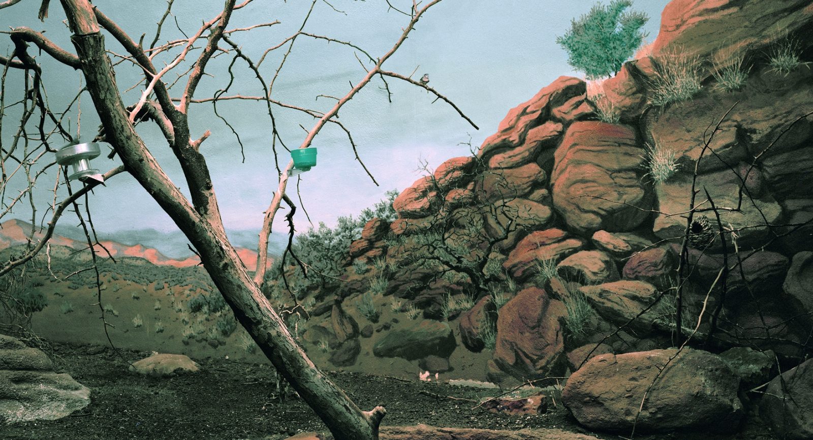 Philip Jung