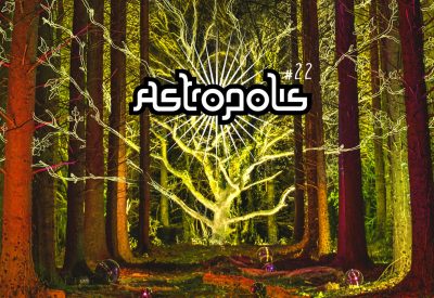 [Festival] Astropolis #22