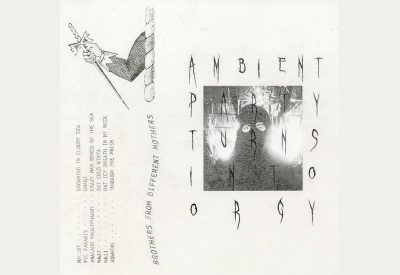 BFDM002 – VA – Ambient Party Turns Into Orgy Tape