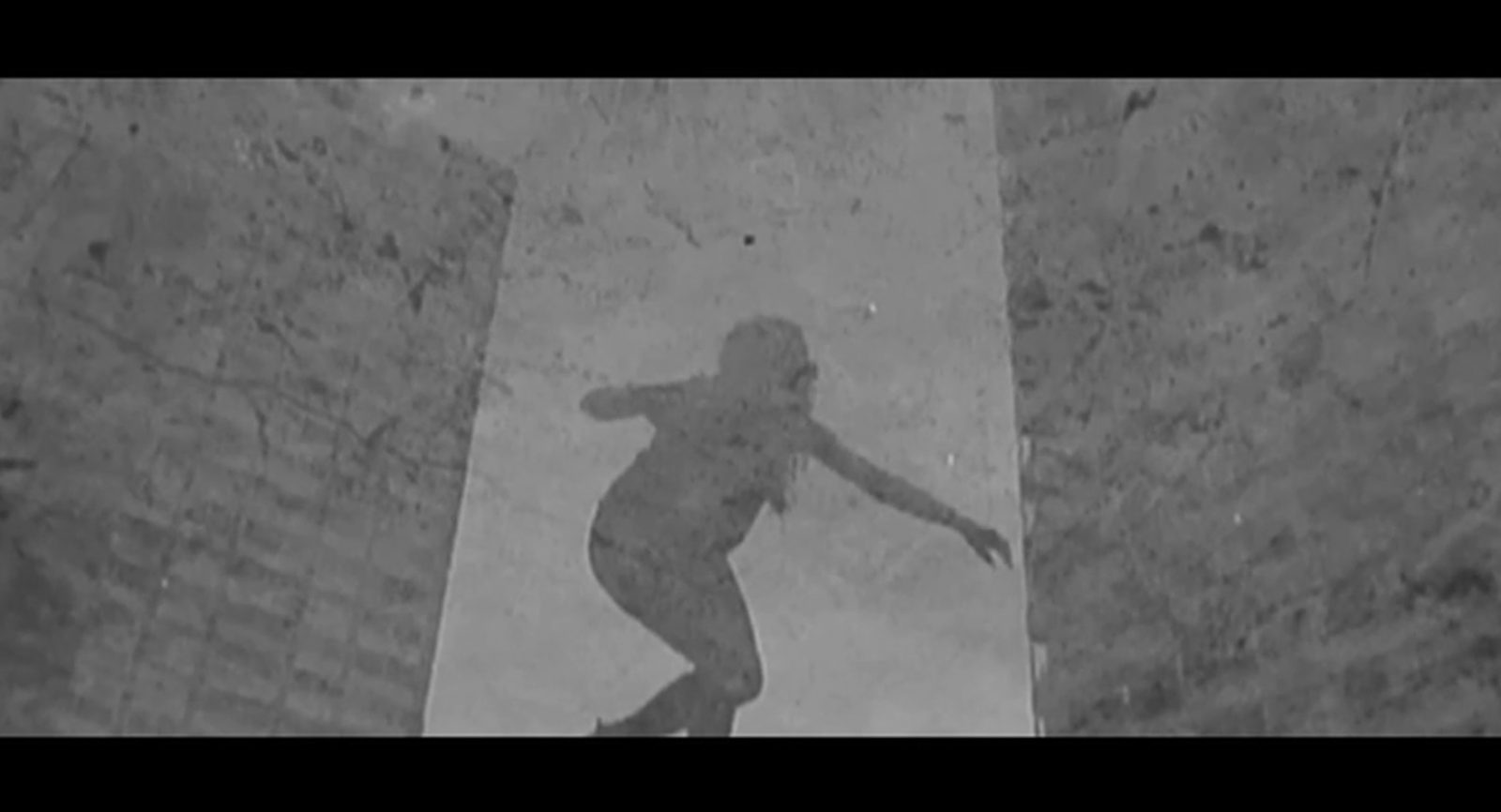 [Vidéo] Hydergine – Polarized
