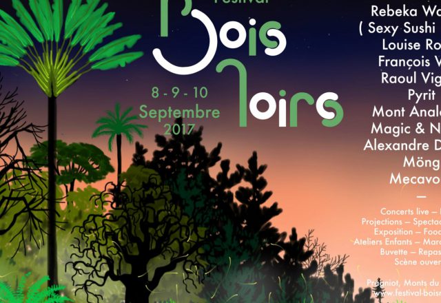 [Festival] Bois Noirs 2017