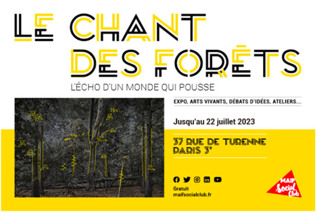 Expo : « Le Chant des forêts » au MAIF Social Club