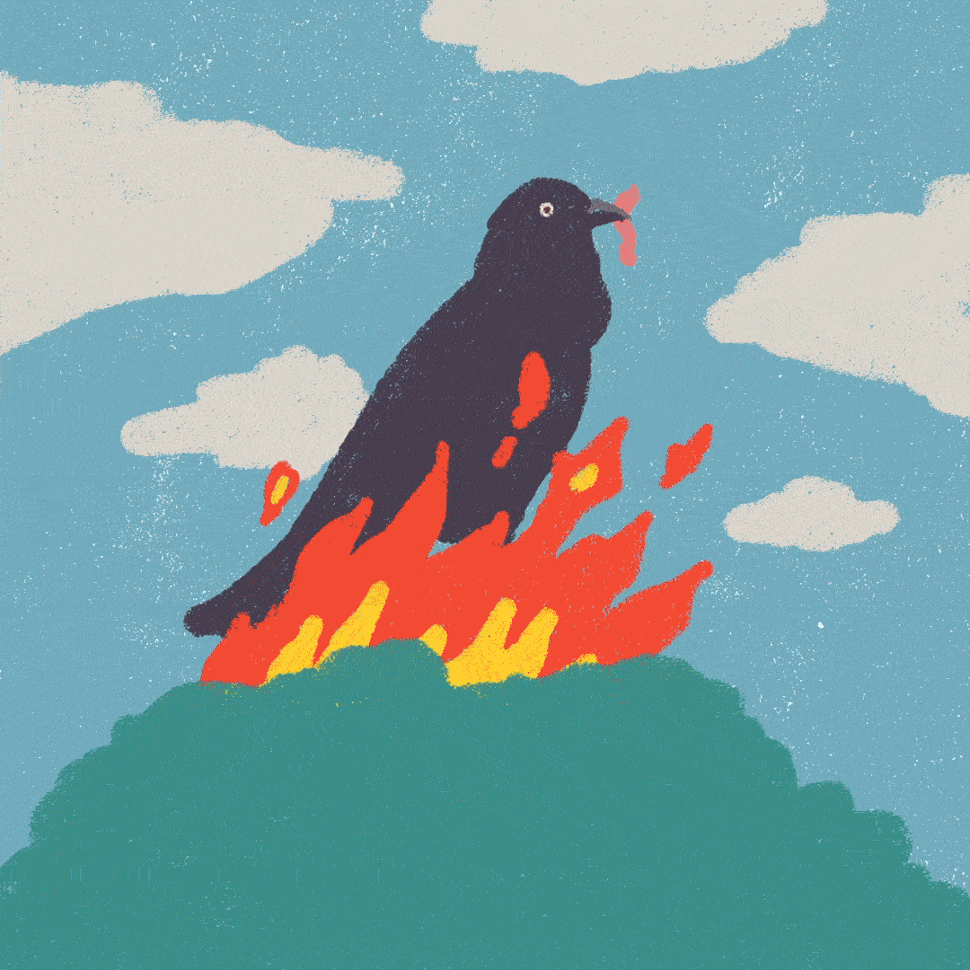 Fire Bird par Luis Mazòn
