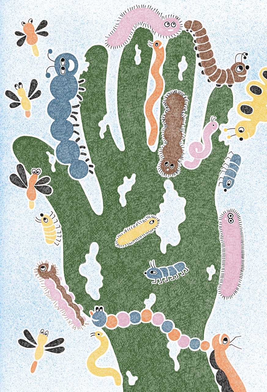 Illustration From the palm of my hand by Malin Rosenqvist - Kiblind magazine thème insectes