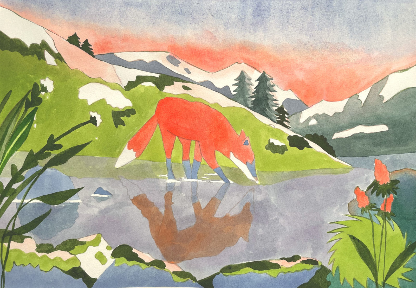 illustration Jeanne Saboureault